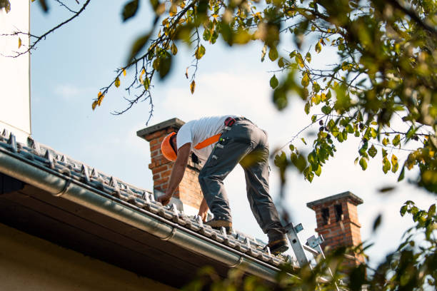 Best Roof Insulation Installation  in Eaton Rapids, MI