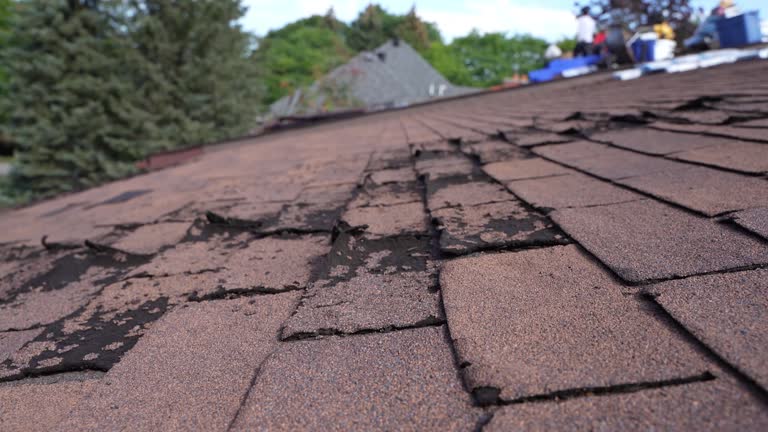 Fast & Reliable Emergency Roof Repairs in Eaton Rapids, MI